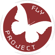 Logotipo Fly Project - Status Color - Filmagens com Drone